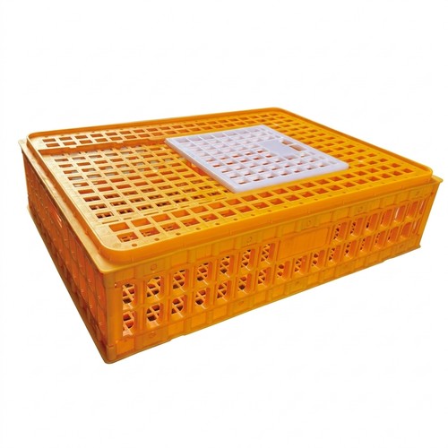 Pigeon transport crate - pigeon,