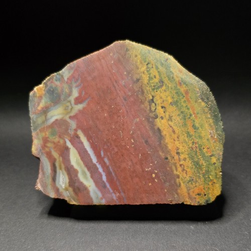 Arizona petrified wood - petrified,
