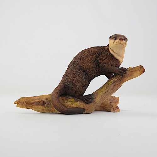 Border fine arts - arts,, 019,