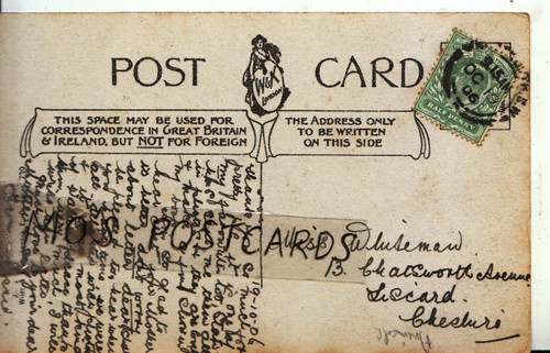 Genealogy postcard whitema - genealogy,