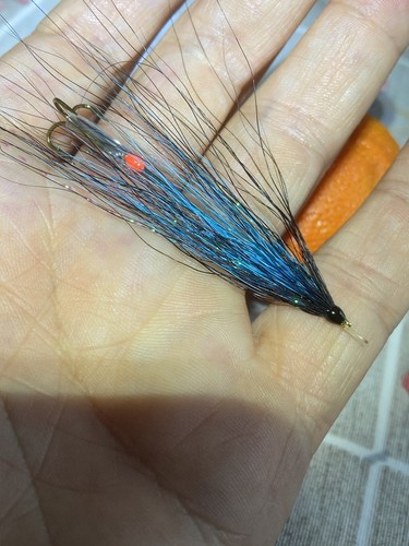 Fly fishing sea trout sewin - fly,