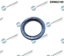 Crankshaft seal o-ring frontal