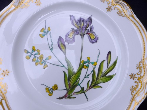 Spode stafford flowers 00 - stafford,