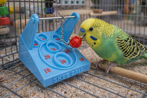 Little friends skee - jw,