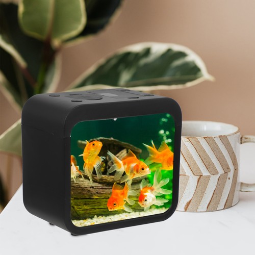 Mini fish tank - mini, breeding
