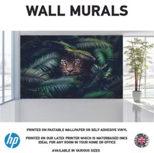 Leopard Face Peaking Animal