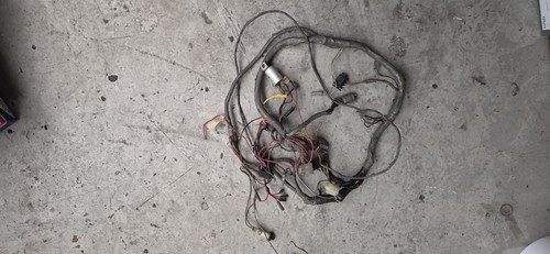 Escort mk1 wiring loom - escort,