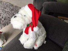 Christmas Dog Sings And Moves To White Christmas