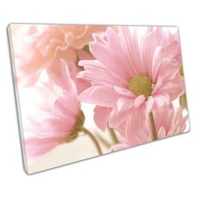 Vibrant Pink Daisy Floral
