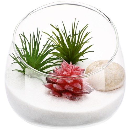 Micro landscape succulent - micro,
