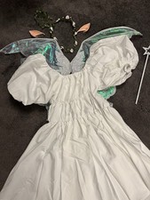 BNWOT Complete Fairy Costume