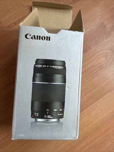 Canon 300mm 5 6 - f/4-5.6, iii