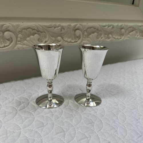 Vintage silver plate wine - silver,