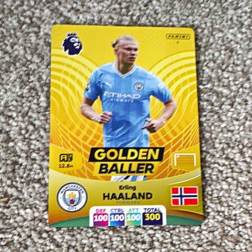 Erling haaland panini - erling,