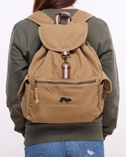 Border Collie Embroidered