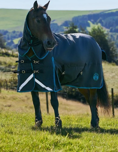Royal scot turnout rug 9 - royal,
