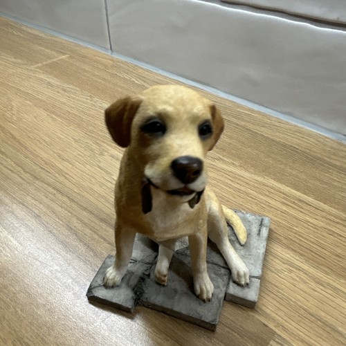 Sherratt simpson labrador - sherratt,