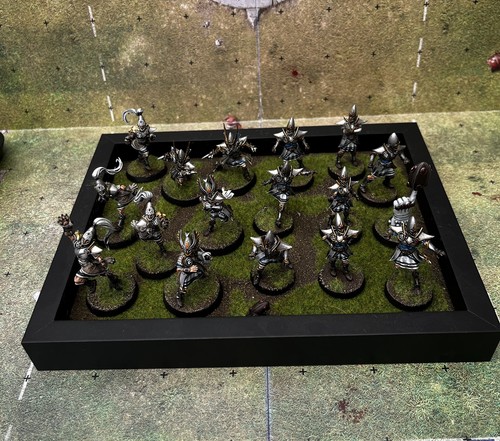 Pro painted high elf - pro,