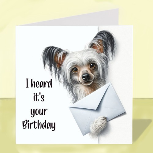 Chinese crested dog birthday - chinese,