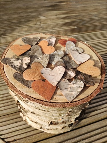 200 birch wood bark - birch,