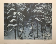 Robert Bateman's Descending