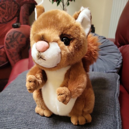 Bbc earth red - earth, squirrel