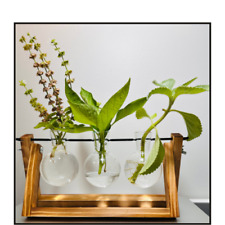 Plant Propagation Station