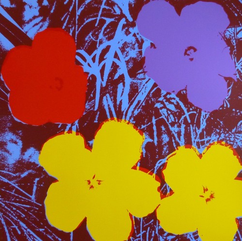 Andy warhol poppy flowers - andy,