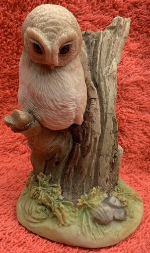 Teviotdale scotland owl - scotland, on