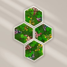 Hexagon Moss Wall Art |
