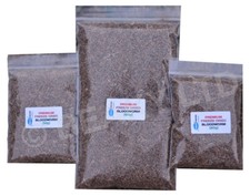 Dried Bloodworm |  Tropical