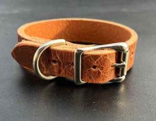 Distressed brown dog - brown, collar
