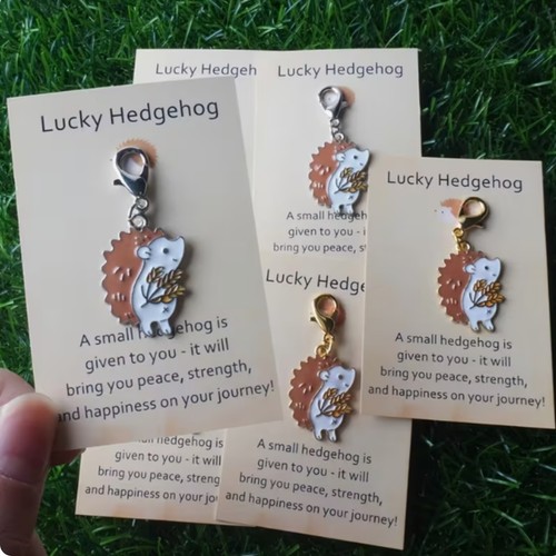 Lucky hedgehog charm pocket - hedgehog,