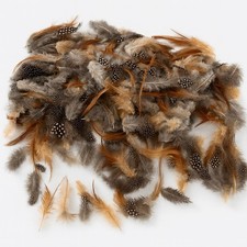 120 Natural Brown Spotted Feathers for Crafts – Hats, Collage & Fly Tying Pack
