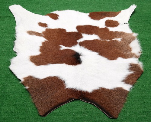 Genuine cowhide small - , calf