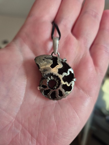 Natural pyritized ammonite - natural,