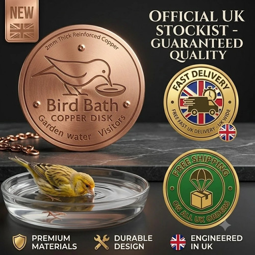 Bird bath copper disk - bird,