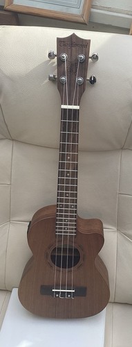 Tanglewood tribal spirit tenor - tanglewood,
