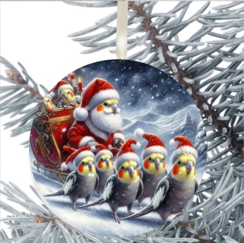 Parrot cockatiel bird gift - bird,