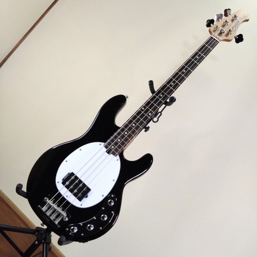 Sterling music man - sterling, stingray
