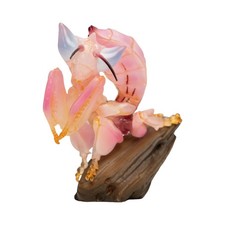 Animal Heavenly Body Insect