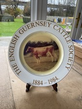 Vintage Porcelain Wall Plate