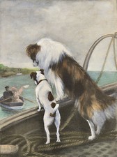 ROUGH COLLIE AND SMOOTH FOX