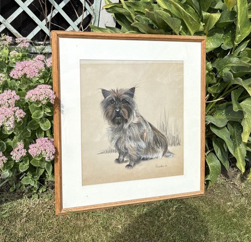 Vintage yorkshire terrier - vintage,