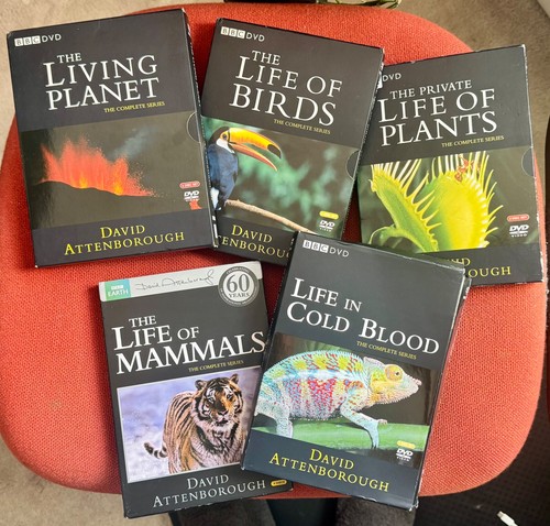 Five david attenborough - david,