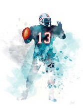 ART PRINT Dan Marino