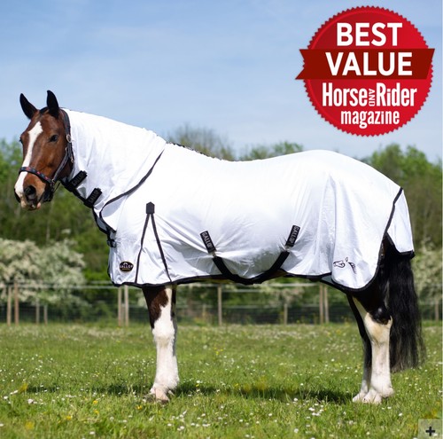 Gallop classic combo - combo, rug