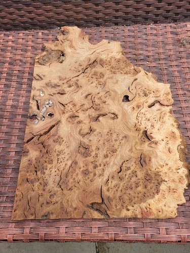 Natural raw untreated - untreated, elm