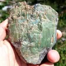 Beautiful Catedral Platy