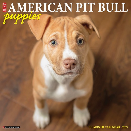 American pit bull terrier - american,